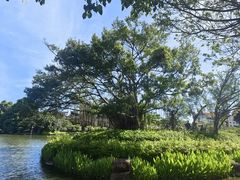 -厦门大学(思明校区)