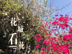 -广州珠江公园