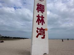 -东郊椰林
