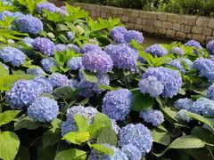 -漩门湾国家湿地公园