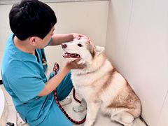 -美联众合动物医院·24h京西诊疗中心