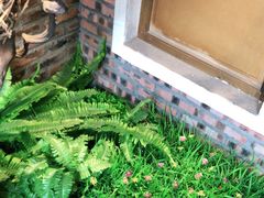 -湘邻呷铺·田园家宴(汉基广场店)