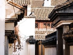 -丝绸小镇荻港古村