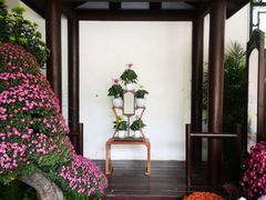 -杭州植物园