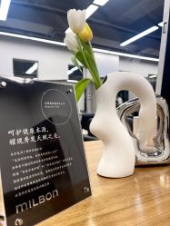 -蚂蚁造型俱乐部