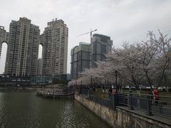 -西北湖绿化广场