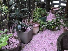 -花迹(富春江东街店)