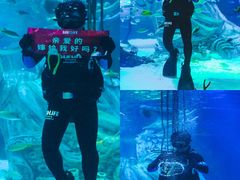 -沈阳海洋探索中心