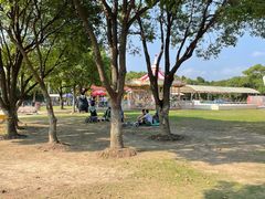 -上海海湾国家森林公园