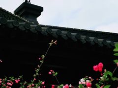 -堤角公园