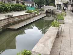 -碧江金楼
