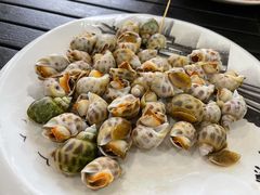 白灼花螺-潘先生海鲜城(神州半岛店)