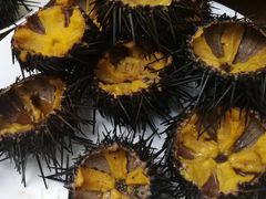 -海胆小馆(东北水饺·春柳店)