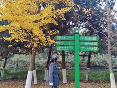 -长白岛森林公园