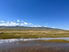 -青海湖国家重点风景名胜区