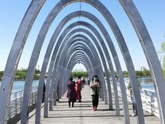 -大兴滨河森林公园