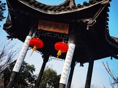 -鹅湖玫瑰文化园