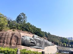 -三水森林公园