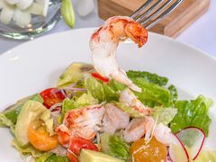 -蝶舍·MAISON PAPILLON