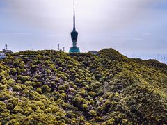 -梧桐山风景名胜区