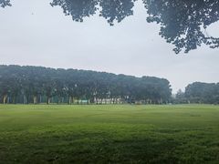 -河南省黄河迎宾馆