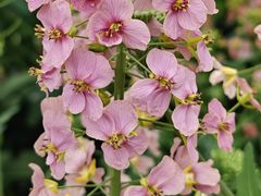 -中国天府农业博览园