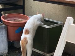 -隐琢咖啡(汉街店)