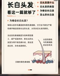 -Bollins波林丝•专研护发中心