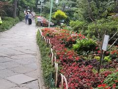 -庐山风景区花径公园