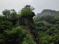 -少华山国家森林公园