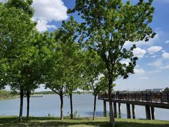 -武清南湖绿博园