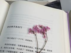 -南山图书馆(常兴路店)