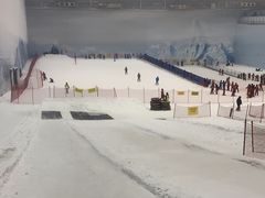 -哈尔滨热雪奇迹