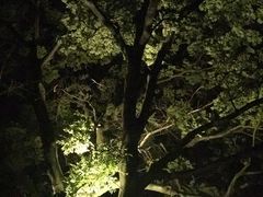 -旅马餐厅(茅家埠店)