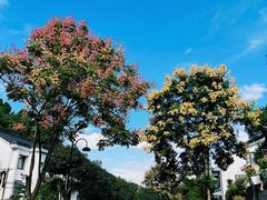 -壹笑茶庄