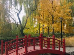 -玲珑塔公园