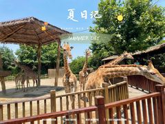 -上海野生动物园