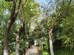 -杏花村文化旅游区