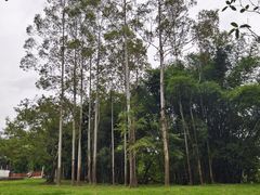 -苏家围·东江画廊旅游景区