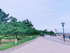 -日照灯塔风景区