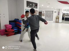 -极真空手道修远道场