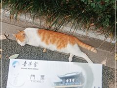 -青羊宫
