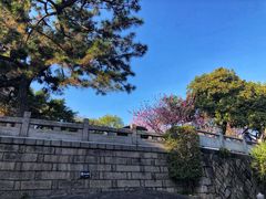 -船政文化景区-罗星塔公园