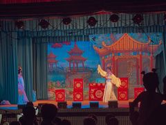 -海口滨海新村143号海南老字号炒菜店