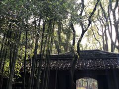-天一阁博物院