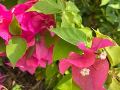 -三亚南山文化旅游区