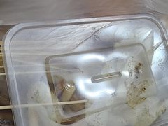 -阿姨小肉摊(同济西苑店)