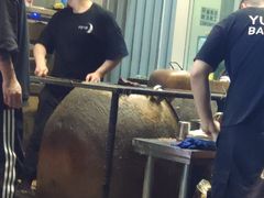 大堂-月半小炉焖烤