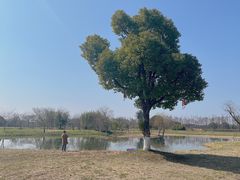 -良渚古城遗址公园