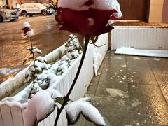 -华阳时光吧餐厅(华阳广场国际大饭店)